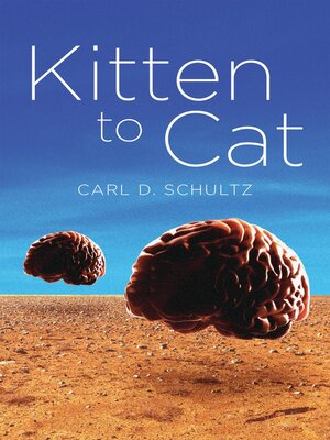 cover image of Kitten to Cat
